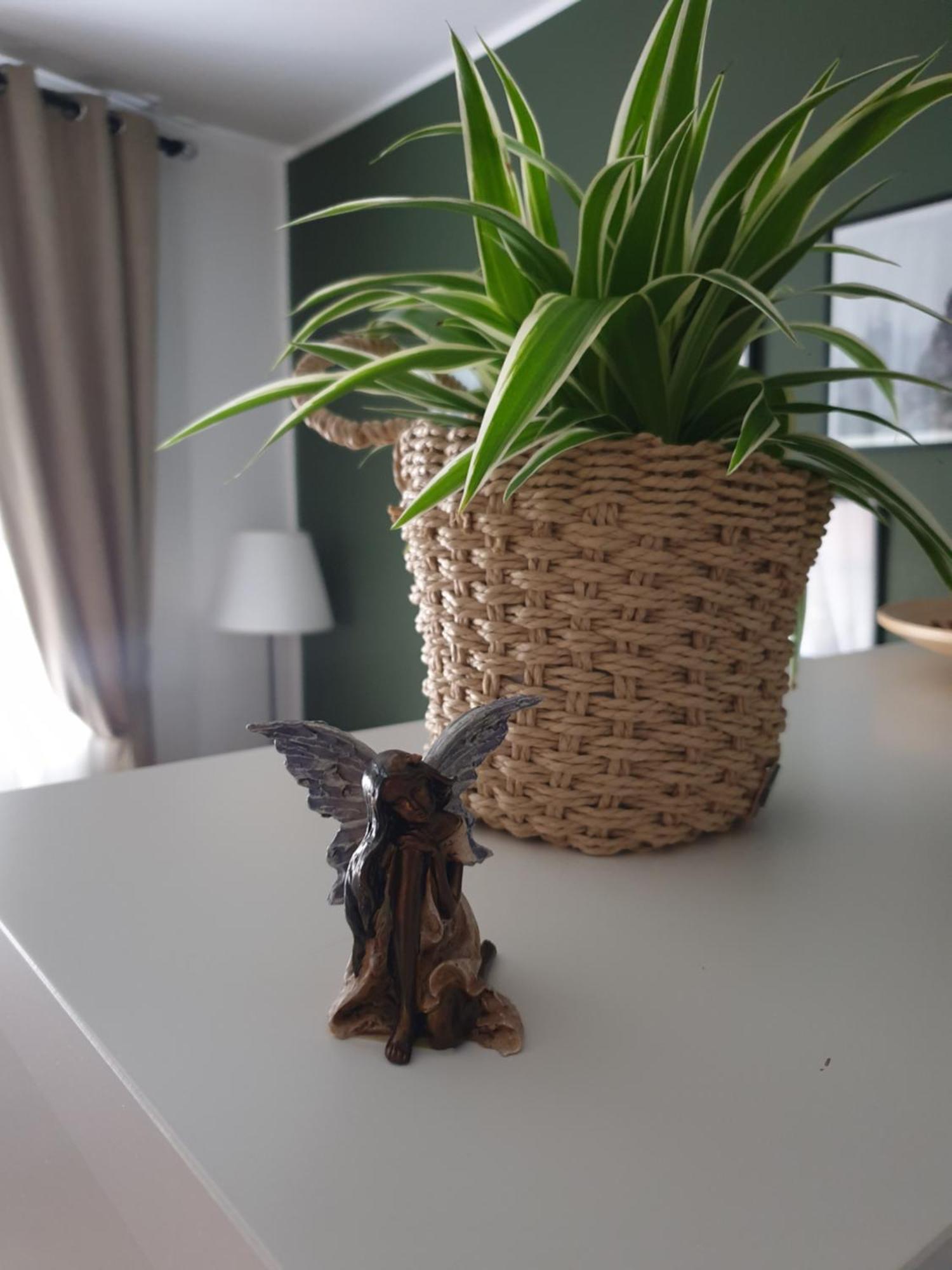 Apartma Thermos Krapinske Toplice Buitenkant foto